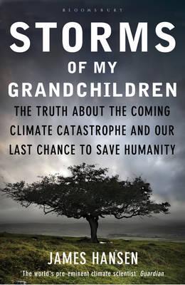 Book cover: Storms of my Grandchildren