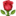 Rose glyph